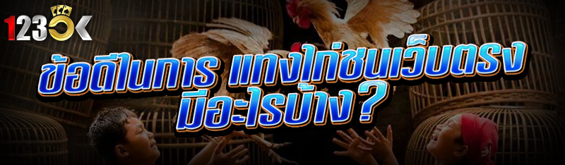 ข้อดีในการ แทงไก่ชนเว็บตรง มีอะไรบ้าง?